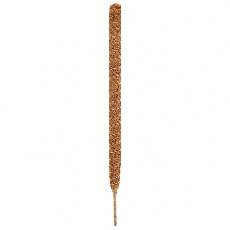 Moss Pole for Climbing Indoor Plants – Plant Fiber Support
