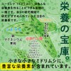 ユーグレナ＆スピルリナ粒 大容量約6ヶ月分/180粒（貴重なユーグレナ9000mg、スピルリナ21600mg、有機大麦若葉、460種の酵素＆エキス、コエンザイムQ10、6種のミネラル、カルシウム、ビタミン配合）