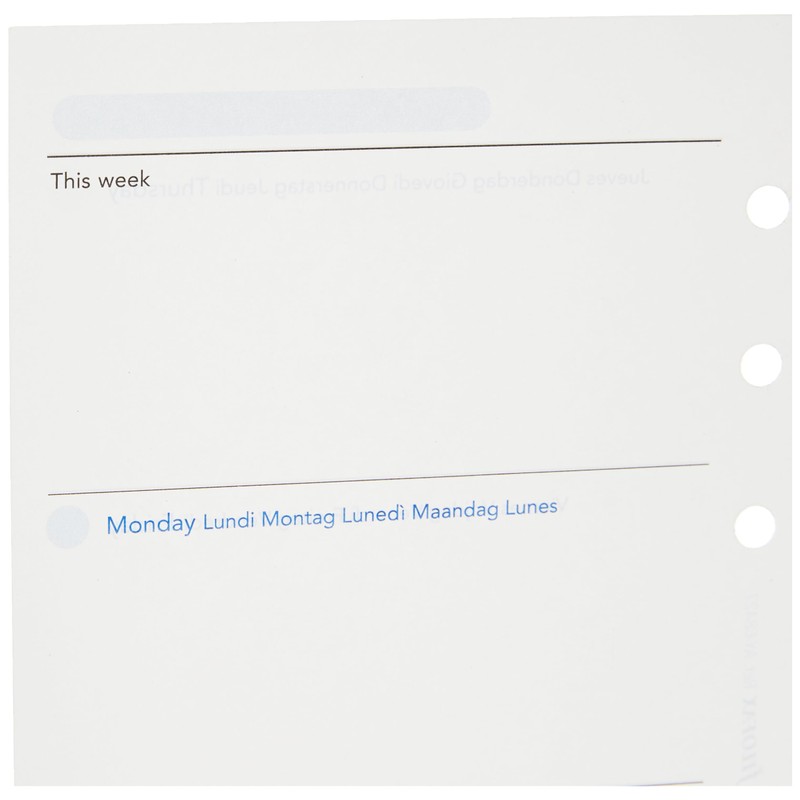 Filofax Personal Week to View Any Year undated Diary,white