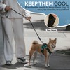 Gooby Soft Mesh X Step in Dog Harness - Turquoise,