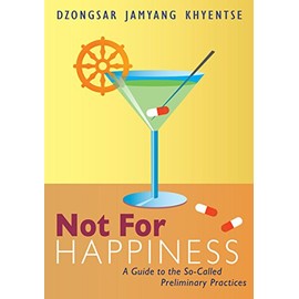 Not for Happiness: A Guide to the So-Called Preliminary Practices