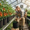 10 Gallon Grow Bags, Heavy Duty Fabric Pots with Handles