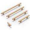 Talentedeco 10 Pack Champagne Bronze Cabinet Pulls 3 Inch(76mm) Kitchen