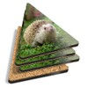 4 x Triangle Coasters - Cute Hedgehog Animal Garden Wildlife