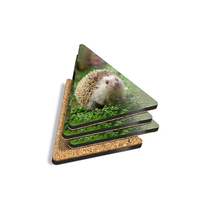4 x Triangle Coasters - Cute Hedgehog Animal Garden Wildlife