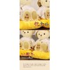 Petilu: Golden Wedding Bear (Folding Screen Case) Normal to Celebrate