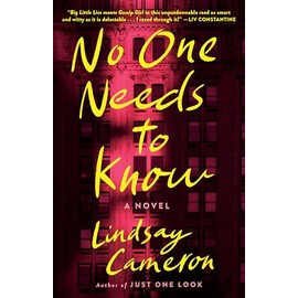 No One Needs to Know: A Novel