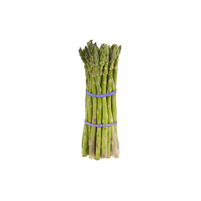 Asparagus UC 157 F2 Hybrid Great Vegetable by Seed Kingdom