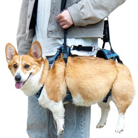 Dollephi Dog Lift Harness, Dog Lift Sling Carrier with Handle & Shoulder Sling, Support Harness for Rear Back Legs Helps,Disabled,Arthritis,Joint Injuries,Paralysis Up Stairs（Blue,Large）