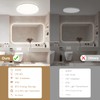 Oraymin LED Bathroom Ceiling Light