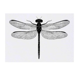 'Dragonfly Top View' Temporary Tattoo - Water Resistant, Skin-Safe, Non-Toxic Transfer (TO00077285)