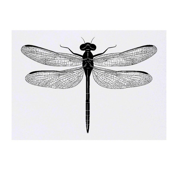 'Dragonfly Top View' Temporary Tattoo - Water Resistant, Skin-Safe, Non-Toxic