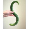 TomorrowSeeds Striped Armenian Cucumber Seeds | Painted Serpent Yard Persian