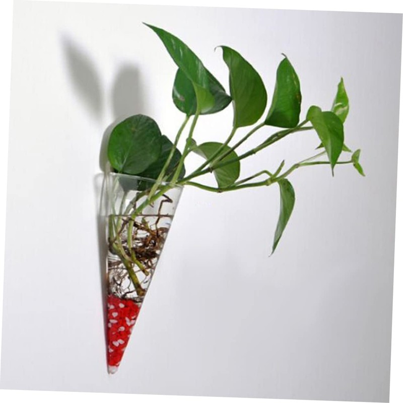 RORPOIR 2Pcs Wall-mounted Cone Vase Hydroponic Planter Clear Decorative Hanging
