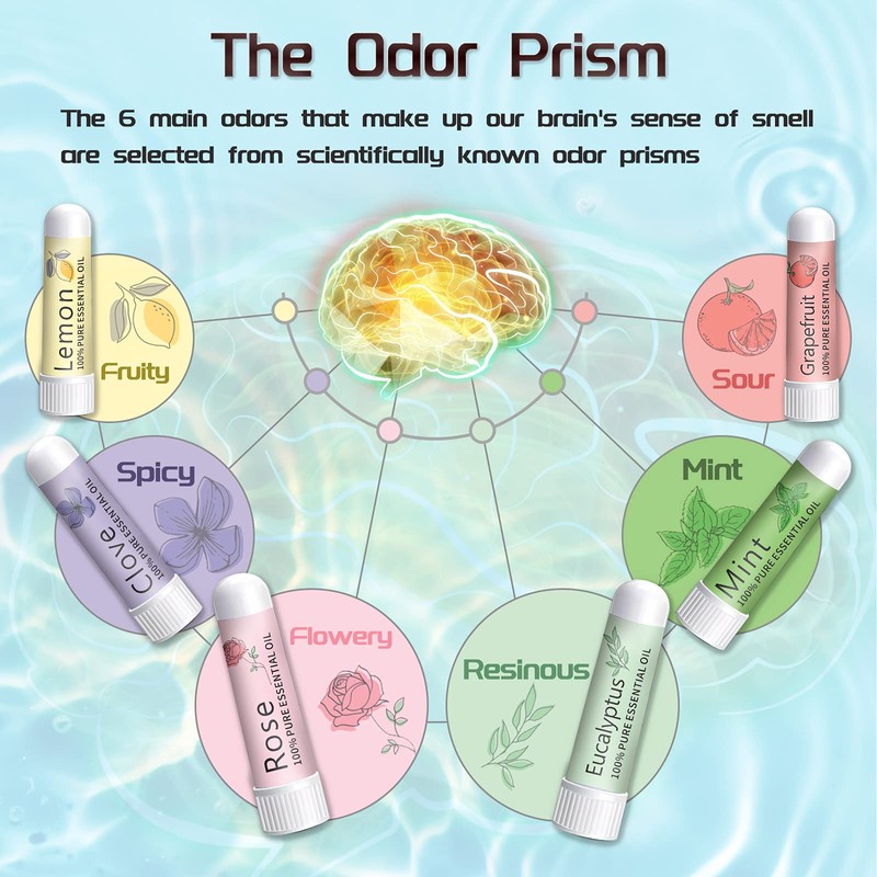 Hion Smell Training Kit, 6 Essential Oils, Olfactory Training Kit