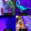UV Flashlight 365nm UV LED Violet Flashlight 5 Modes for