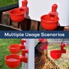 Chicken Waterer Cups | Automatic Large Chicken Water Feeder for