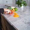 Cooking Chopping Board Acrylic Clear Anti Slip Spacious Size Abrasion