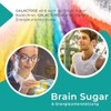EnergyBalance Pure D-Galactose Powder - Sugar for the Brain -
