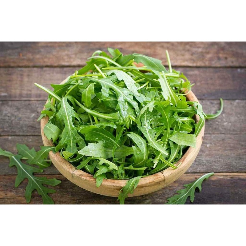 RAISE ME UP: Seeds Astro Arugula for Salad Non GMO