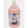 Instrument Specialists Inc Stainless Steel Cleaner Rust Stain Remover CSK-81