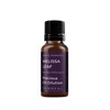 Mystic Moments | Melissa Leaf Essential Oil Dilution | 10ml