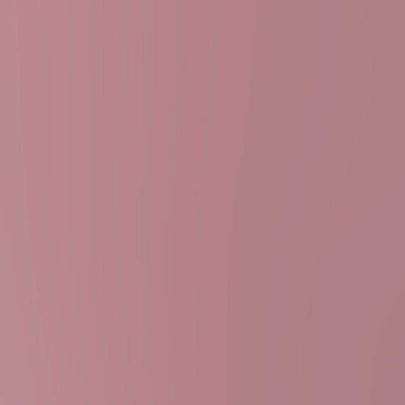 Lafe's Natural BodyCare | Tinted Lip Balm - Honest |