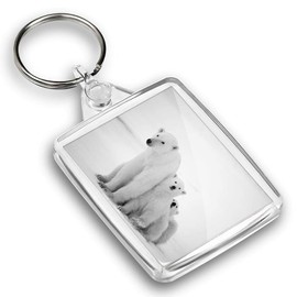 Destination Vinyl ltd 1 x Photo Keyring - Mum & Cubs Polar Bear Baby Animal |Keychain|Keyring|Charm| #40934