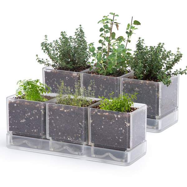 D'vine Dev Herb Garden Planter Set, Plastic Plant Pots with