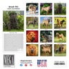2025 2026 Shar Pei Calendar - Dog Breed Monthly Wall