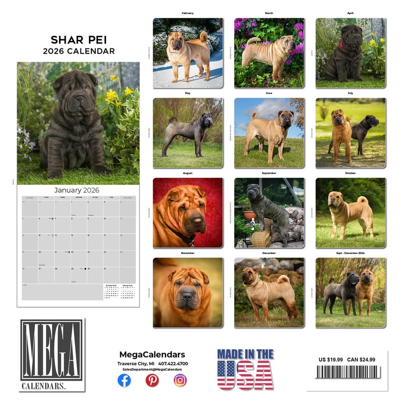 2025 2026 Shar Pei Calendar - Dog Breed Monthly Wall