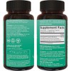 Pycnogenol 100mg from French Maritime Pine Bark Extract - Great