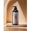 Suavis Lavender Essential Body Wash 500ml WS01AB12 / 수아비스 라벤더