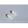 SpentShells® Filtered Ear Plugs White/Clear Ear Plugs Reusable Soft Silicone