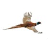 HuntEmUp Ultimate Pheasant Dog Trainier Mesh Gear Bag and Training