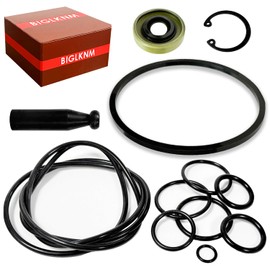 BIGLKNM Reseal Kit for GM R4 AC Compressor Includes Seal O-Ring Shaft Seal Installer Tool