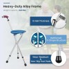 M-GYG Folding Cane Seat Combo 400 Lbs Capacity Portable Cane
