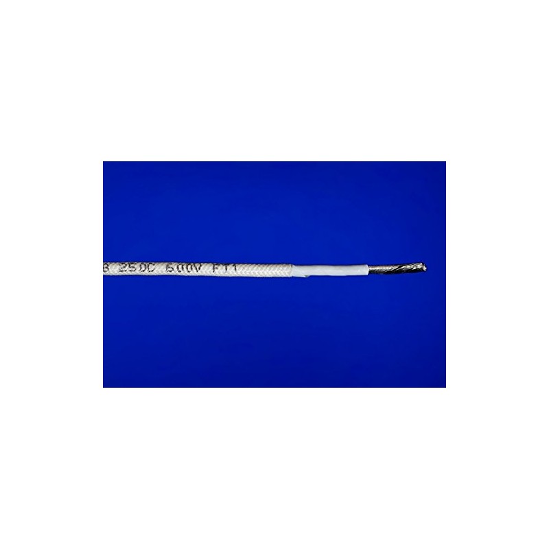 Appliance wire 12 AWG TGGT 250C 600V (10ft)