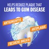 TheraBreath Healthy Gums Oral Rinse, Antigingivitis, Clean Mint Flavor, Dentist
