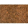 Yupik Organic Lentils, Brown, 2.2 lb