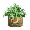 PANACEA PRODUCTS 30 gallon Grow Bag Potatoes - 84388
