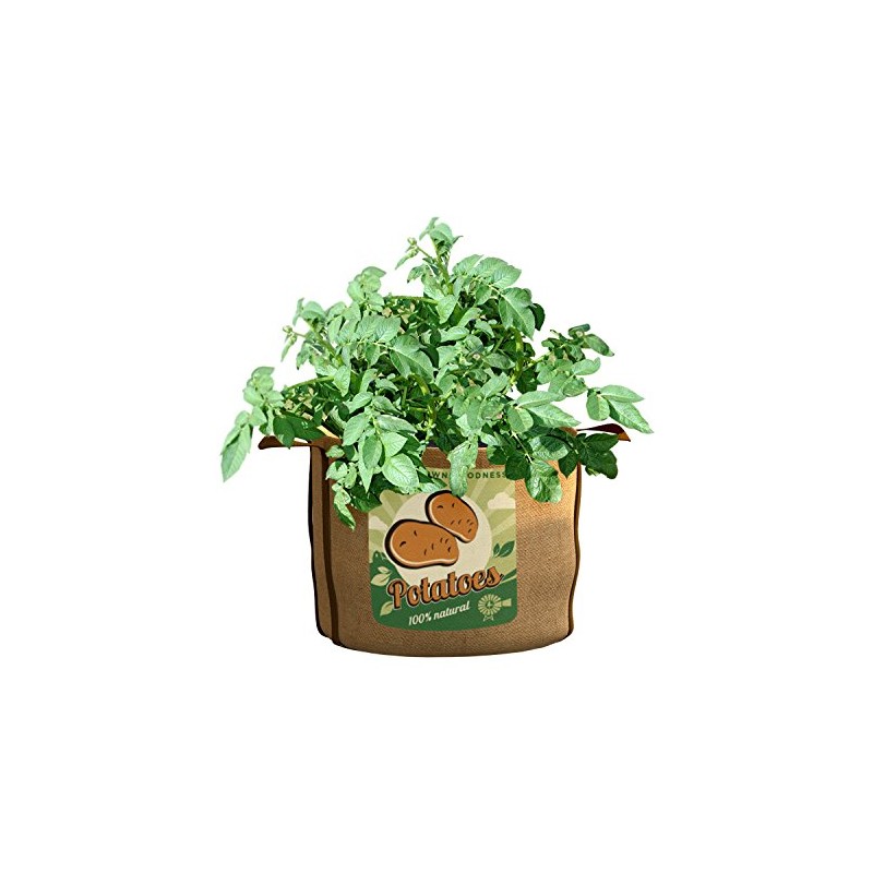 PANACEA PRODUCTS 30 gallon Grow Bag Potatoes - 84388