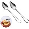 2 Pcs Silver Spoon Grapefruit Spoon Stainless Steel Grapefruit Spoon,