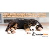 Thundershirt ThunderShirt for Dogs, X Large, Platinum Sport - Dog
