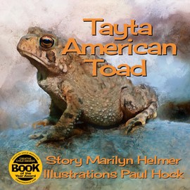 Tayta American Bullfrog