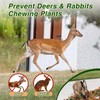 Pblovylu 24 Pack Deer Repellent Balls Rabbit Repellent Outdoor Deer