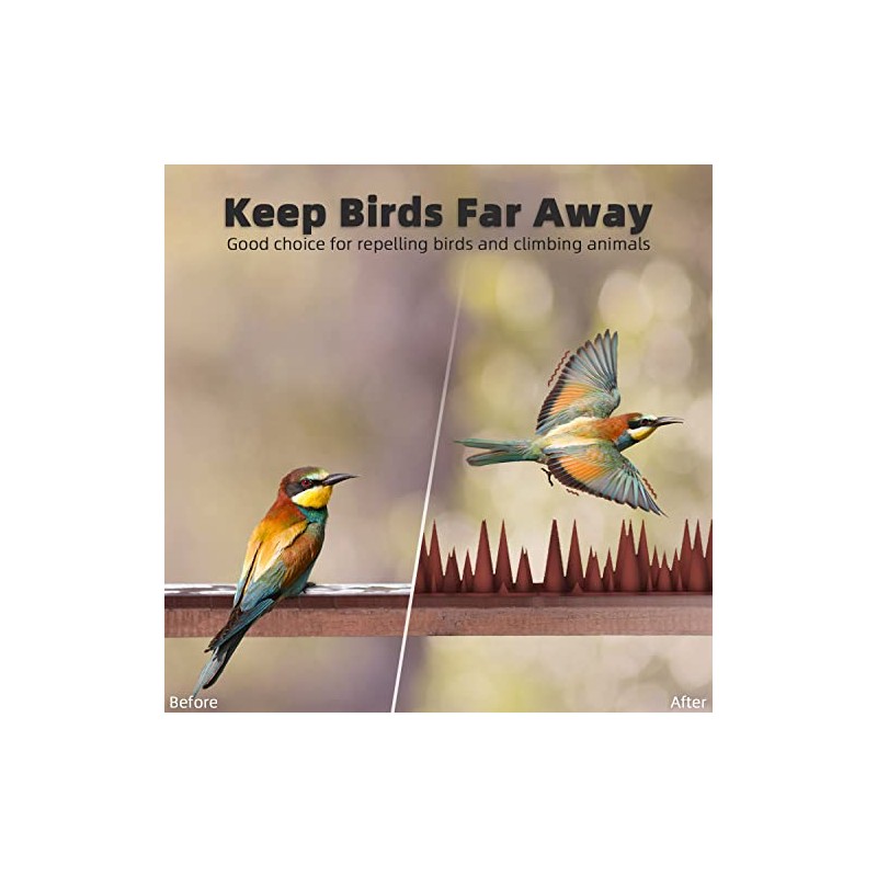 Bird Spike Strips for Outdoor Surfaces with Adhesive Strips (8,