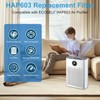 2 Pack HAP603 Replacement Filter Compatible with ECOSELF HAP603WF &