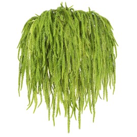 Suncalla 12 Pcs Amaranthus Artificial Flower Faux Amaranthus Hanging Plants Dried Preserved Bleached Wisteria for Wedding DIY Bouquet Garlands Floral Arrangement Home Wall Decor (Green,24 Inch)