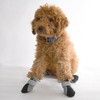 Protective Dog Boots Paw Protector, MH MOIHSING Non-Slip Pet Shoes
